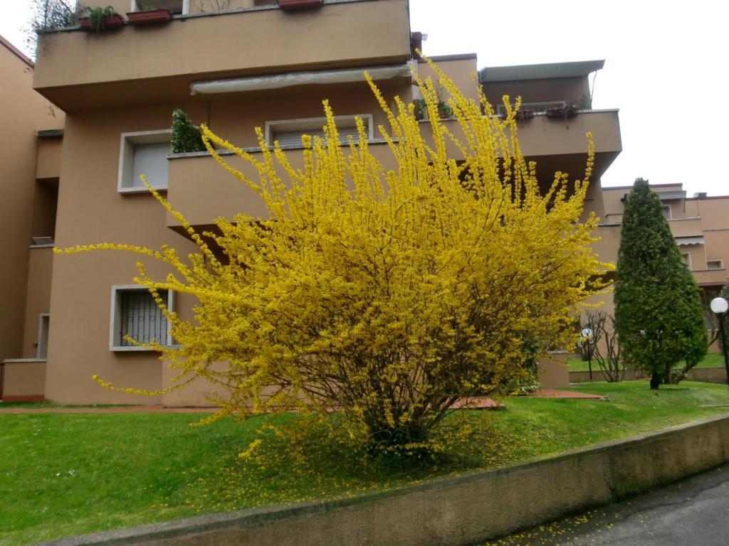 Residence La Madonnina Peschiera del Garda Dış mekan fotoğraf