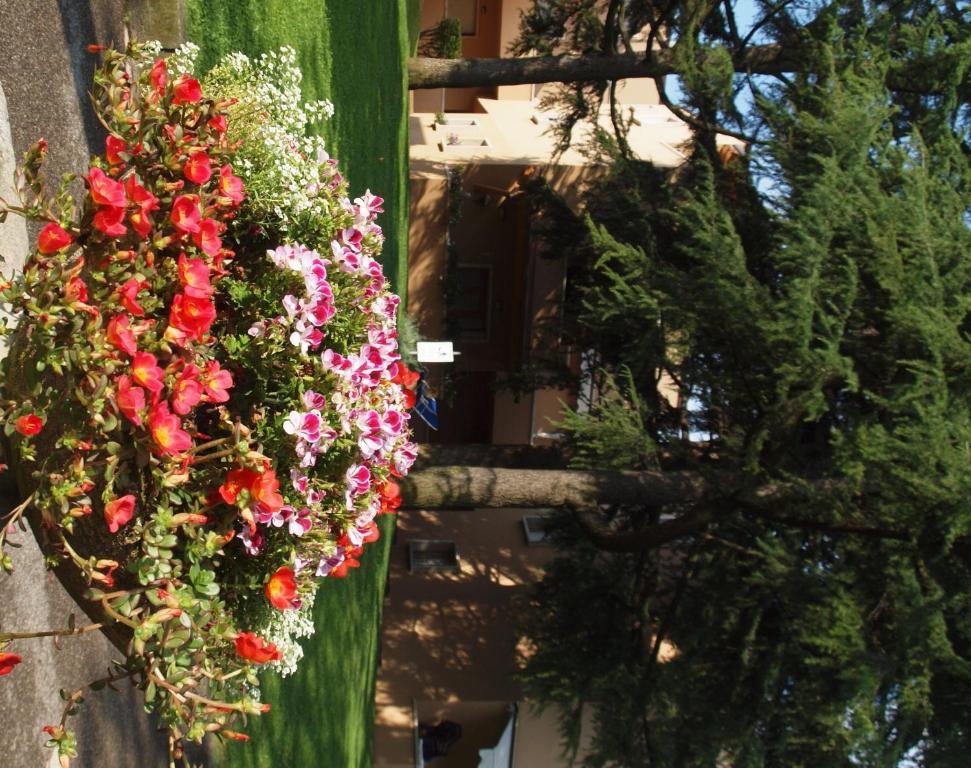 Residence La Madonnina Peschiera del Garda Dış mekan fotoğraf